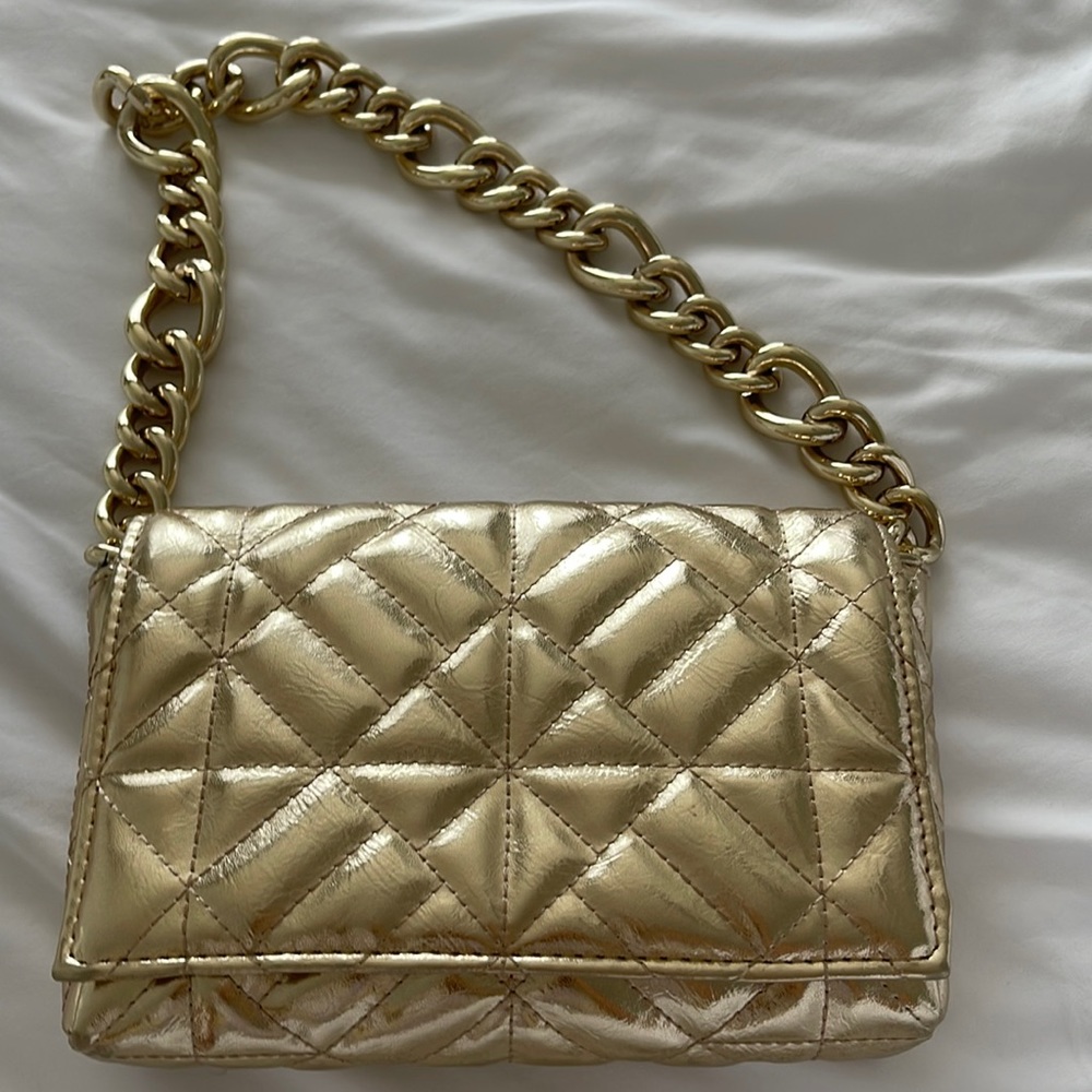 COPY - Zara Gold Chain Bag with tag